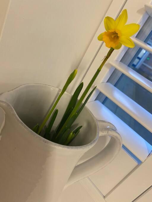 Unrivalled Location - Five Star - Worcester Apartment Екстериор снимка